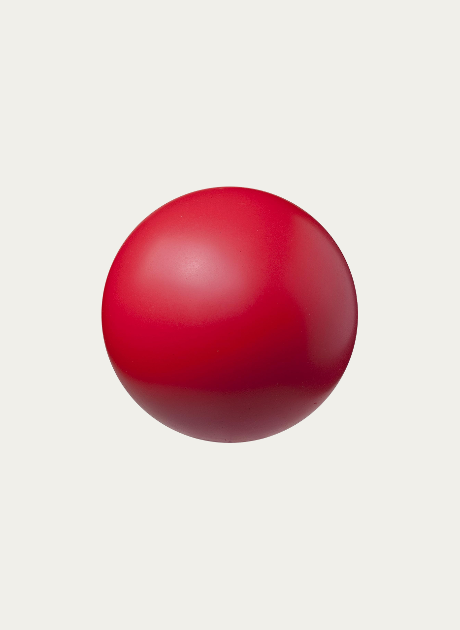 Champion Sports Coated High Density Foam Ball